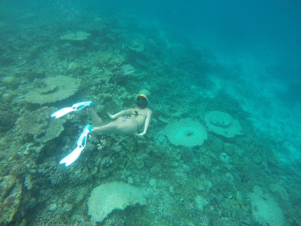 Rasdhoo Coralville מראה חיצוני תמונה