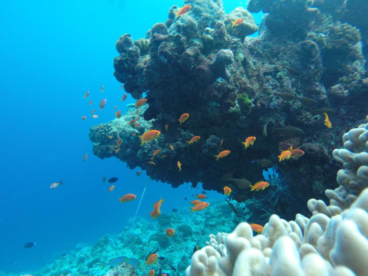Rasdhoo Coralville מראה חיצוני תמונה